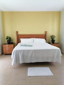 WhatsApp Image 2021-05-14 at 1.13.27 PM (1)